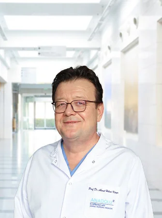Prof. Dr. Ahmet Hilmi Kaya