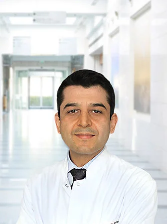 Prof. agr. Dr. Ayhan Erdemir